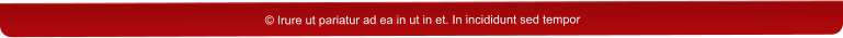 © Irure ut pariatur ad ea in ut in et. In incididunt sed tempor